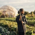 Creating a Sustainable Food System: An Expert's Perspective